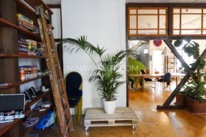 loft4.22