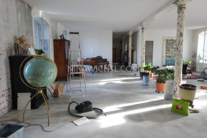 loft5.19