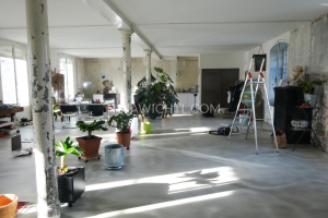 loft5.3